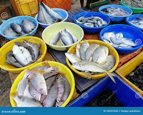 Open-air Day Market with Fresh Seafood Stock Image - Image of street ...