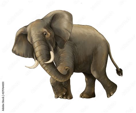 cartoon scene with big elephant on white background safari illustration ...