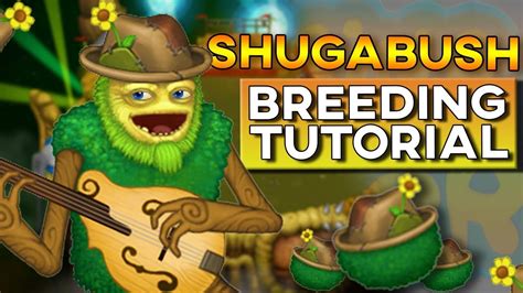 How To Get Shugabush : How rare is it to breed a shugabush? - Isyzojczpa