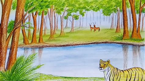 Realistic Drawing Drawing Of Wild Animals In Forest - Rectangle Circle