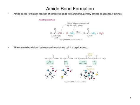 PPT - Amide Bond Formation PowerPoint Presentation, free download - ID ...