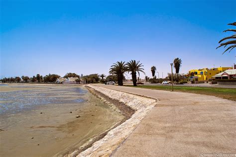 Walvis Bay Namibia | Dolphin and Flamingos Spotting on Walvis Bay ...