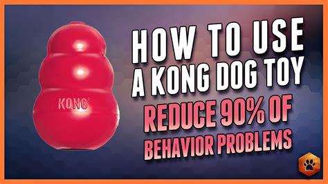 Kong Vs Gorilla Dog Toy | Wow Blog