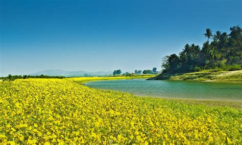 6 Best Tourist Places in Assam in 2024 (Tourist Attractions, Places to ...