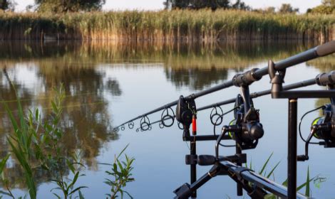 Carp Fishing Rods | Best of Angling