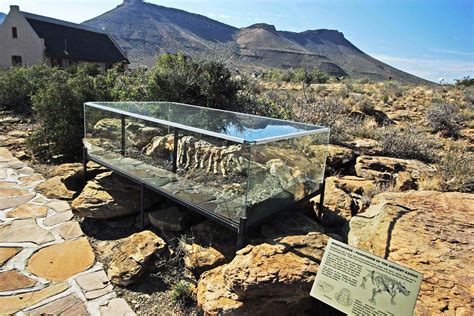 Karoo National Park Fossil Trail - Central Karoo, South Af… | Flickr