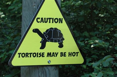 Naturally. 25 Funny Animal Signs Funny Street Signs, Funny Road Signs ...