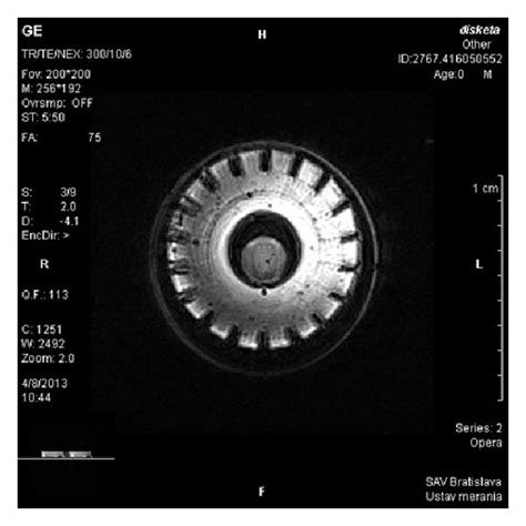 Images of the diskette: (a) original diskette with visible sectors, (b ...