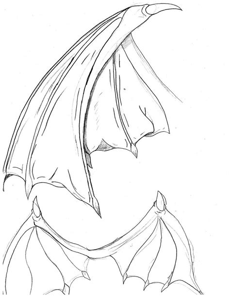 Dragon wings Drawing Reference and Sketches for Artists