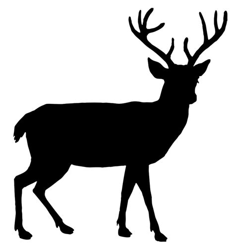 Stag Deer Silhouette PNG