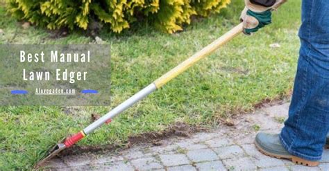 Top 8 Best Manual Lawn Edger of 2023 - Alovegarden.com