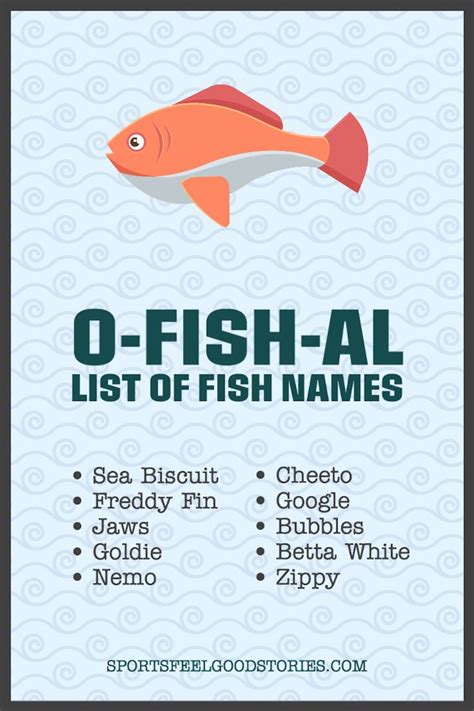 217 Fish Names For When You Are Fishing Around For Ideas | Goldfish ...