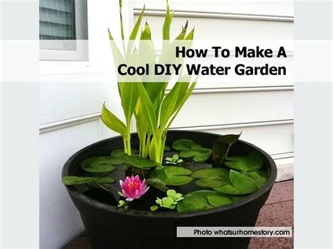 How To Make A Cool DIY Water Garden