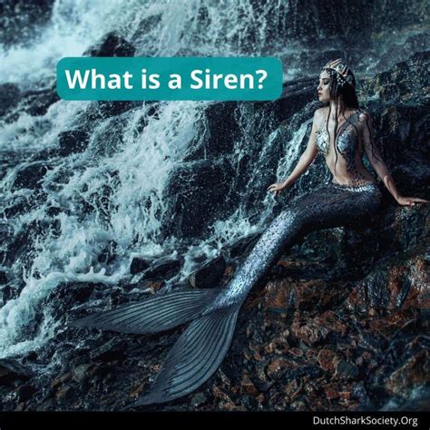 Are Sirens Evil Mermaids Or the Same Mythical Creature?