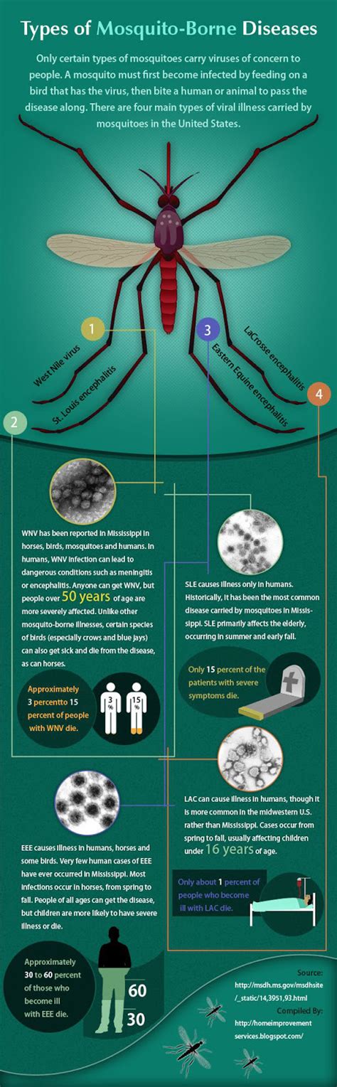 Types of Mosquito-Borne Diseases [INFOGRAPHIC] | Disease infographic ...