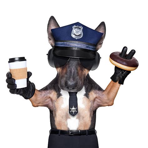 8,000+ Funny Police Officer Stock Photos, Pictures & Royalty-Free ...