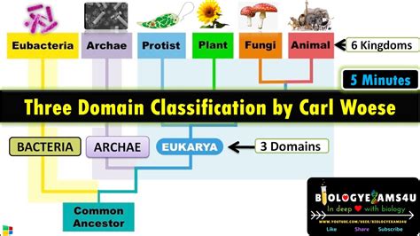 The Three-Domain System of Classification by Carl Woese (1990)|| 3 ...