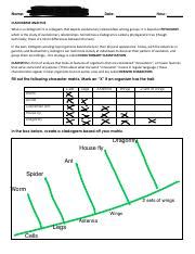 Section 4 Cladistics 2 Worksheet.pdf - Ariana Borland Name: Date: Hour ...