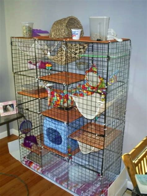 C&C rat cage Hamsters, Chinchillas, Ferrets Care, Pet Rodents, Cute ...