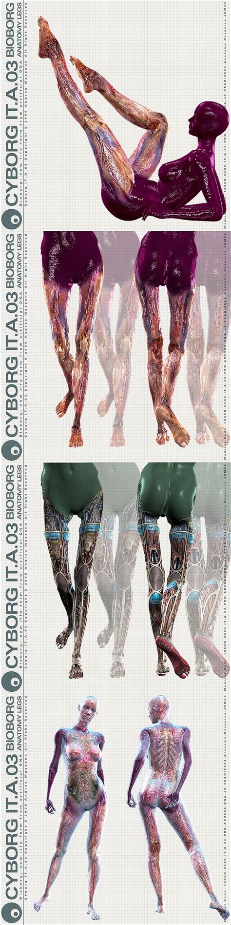 Andygraph -CYBORG IT.A.03 Anatomy Legs- by andygraph