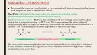 Isomerases