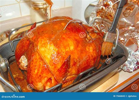 Basting Turkey 4 stock image. Image of oven, cook, baste - 7566843