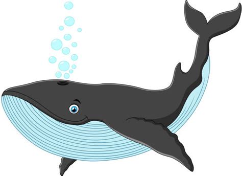 Cartoon Whale Illustrations, Royalty-Free Vector Graphics & Clip Art ...