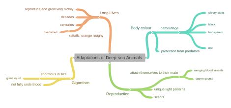 Adaptations of Deep-sea Animals - Coggle Diagram