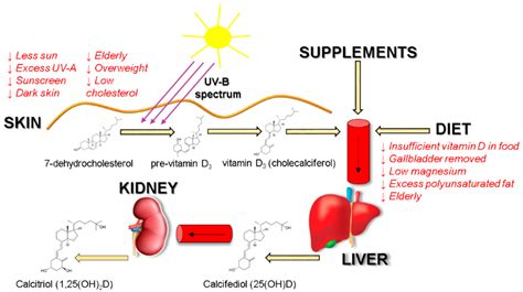 Vitamin D / Vitamin D Tropfen Vitamin D3 Liquid Pure Encapsulations ...