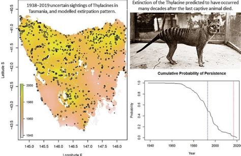 University of Tasmania study mapped decline of the Tasmanian tiger ...