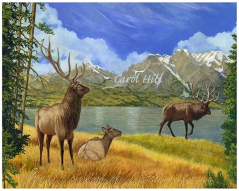 Mountain Elk Print From My Original Oil Painting 8x10 | Etsy