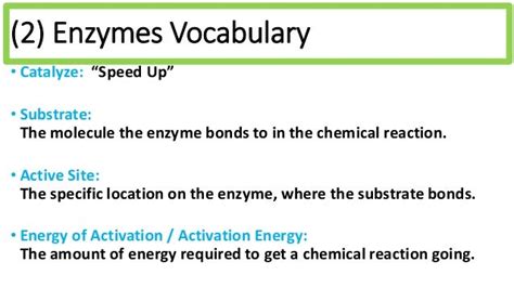 Biology Unit 1 Notes: Enzymes