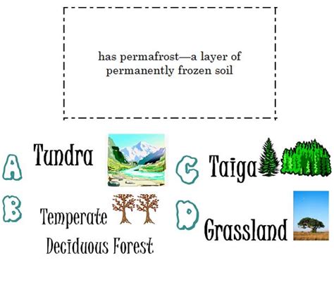 Life, Love, Literacy: Biome Characteristics Multiple Choice