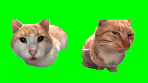 Green Screen Mr. Fresh Cats Meme - YouTube