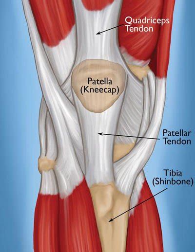 Knee Tendonitis Treatment NYC | Knee Tendon Doctors Specialists New York