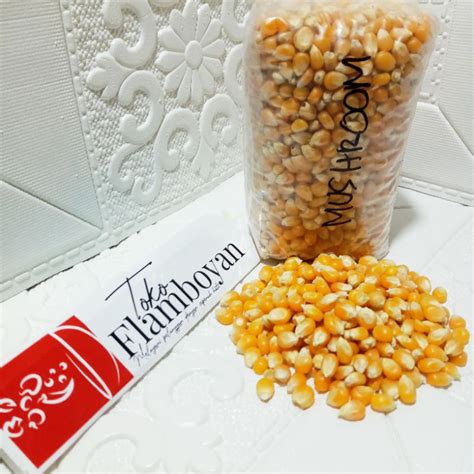 JAGUNG POPCORN MUSHROOM JUMBO 500GR | Shopee Indonesia