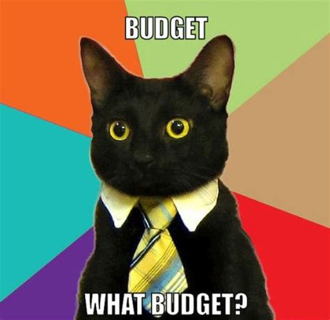 success-cat-budget-meme crop - Team Oufti