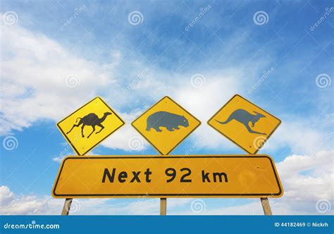 Australian Animals Road Sign Stock Image - Image of explore, nature ...