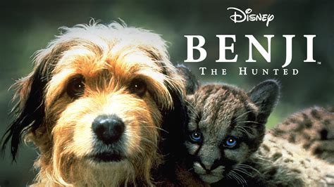 Benji the Hunted (1987) - AZ Movies