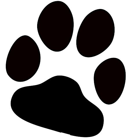 Transparent Background Paw Print Png : Download this paw prints ...