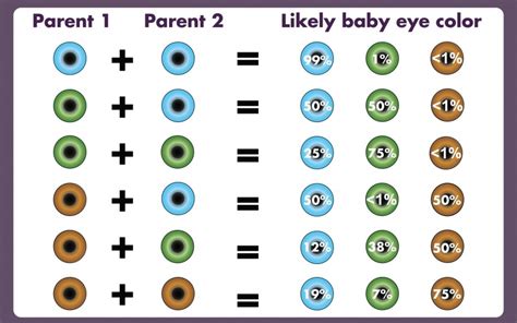 Eye Color Genetics