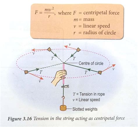 Centripetal Force Equations Physics