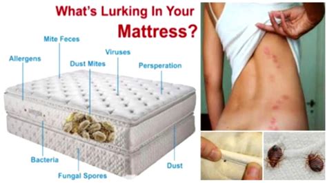 How to Get Rid of Mattress Dust Mites Easily And Effectively