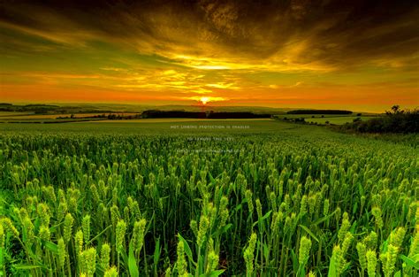 Farmland Wallpapers - Wallpaper Cave