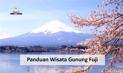 Panduan Lengkap Wisata Di Gunung Fuji Buat Pemula | TANOGAIDO