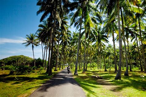 Kebun Kelapa