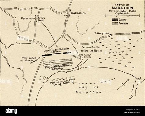 The Battle Of Marathon Map