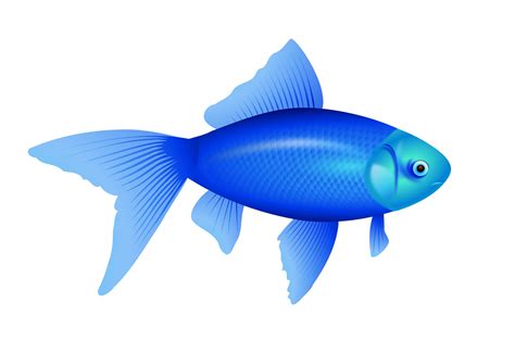 Free Fish Imeges, Download Free Fish Imeges png images, Free ClipArts ...