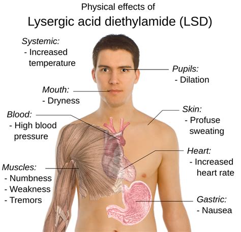 ทำความรู้จักกับ “LSD” ยาเสพติดที่หลายคนบอกว่ามีข้อดี แต่มาพร้อมโทษ ...