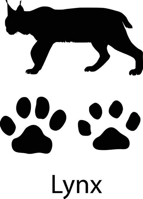 silhouette lynx paw print - Clip Art Library